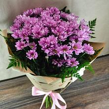 Букет цветов из:  Хризантемы #REPLACE_PRED# Литвиново
