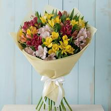 Букет цветов из:  Альстромерии #REPLACE_PRED# Литвиново