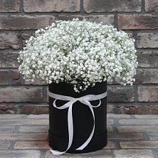 Цветочная композиция из Гипсофила в шляпной коробке в Литвиново